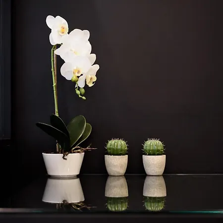 Affittacamere Interno Barocco 4*