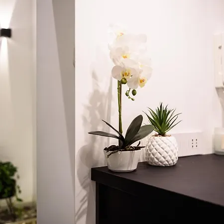 Interno Barocco Napoli