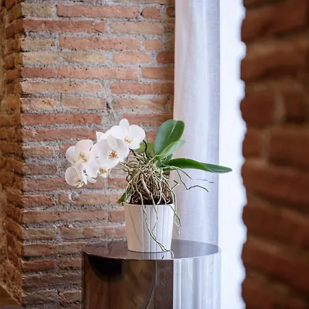 Interno Barocco 4*