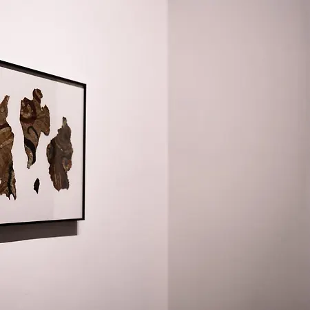 Interno Barocco Napoli